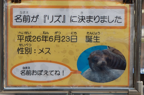 仔アシカのリズの看板