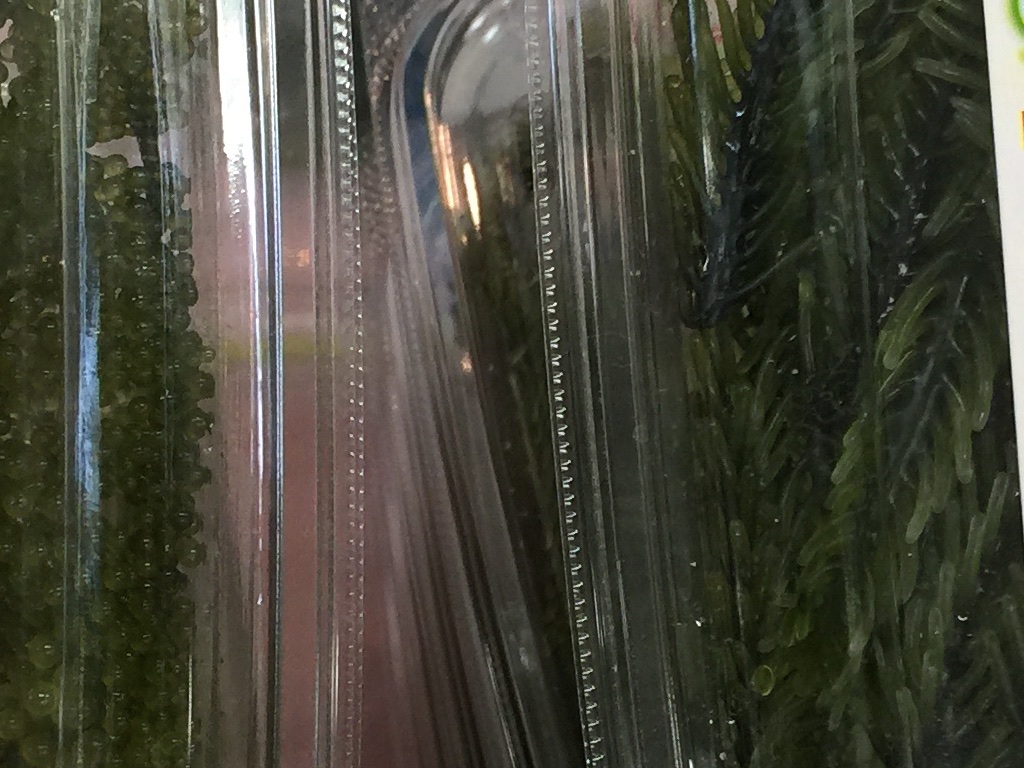 海ぶどうと海のエンジェル