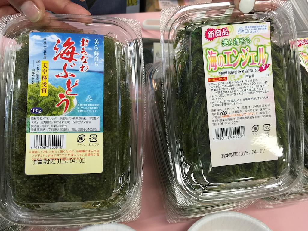 海ぶどうと海のエンジェル