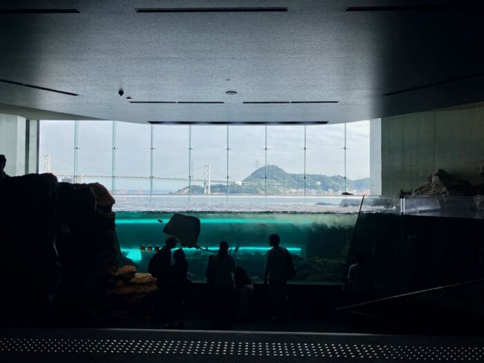 下関市立しものせき水族館「海響館」で最初に出くわす水槽